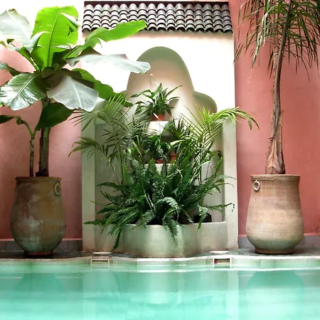 Riad Aderbaz-3